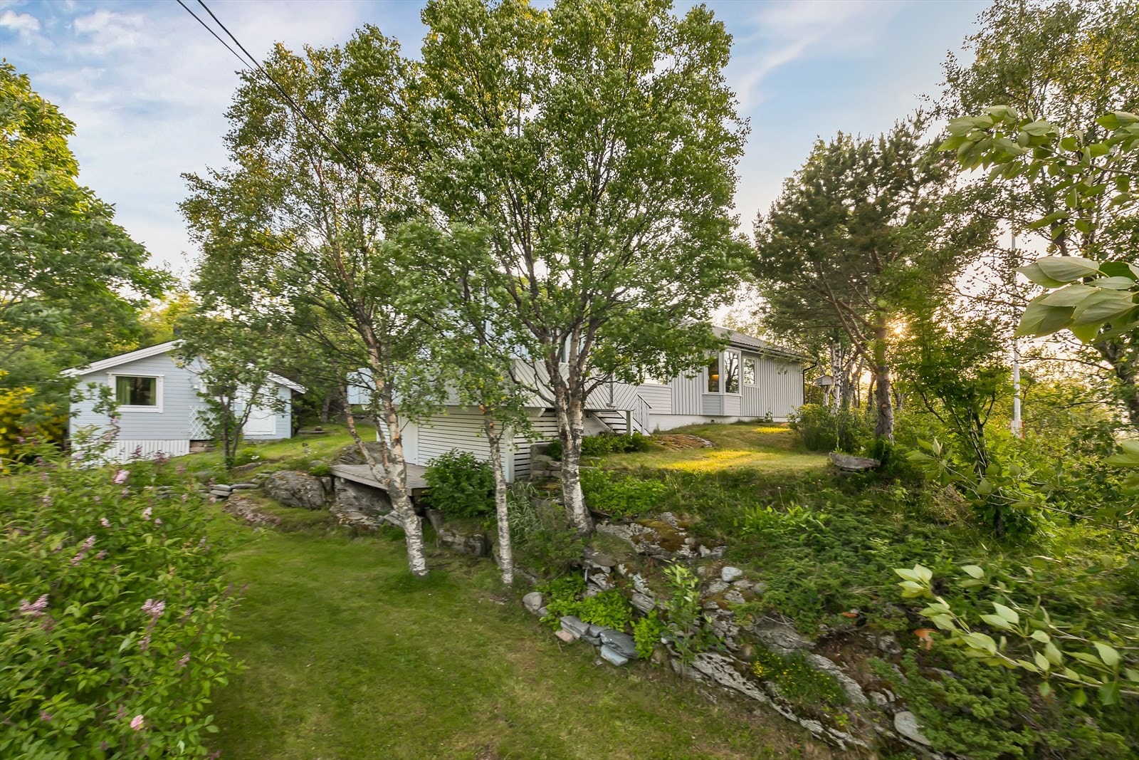 Fin naturtomt Galleribilde