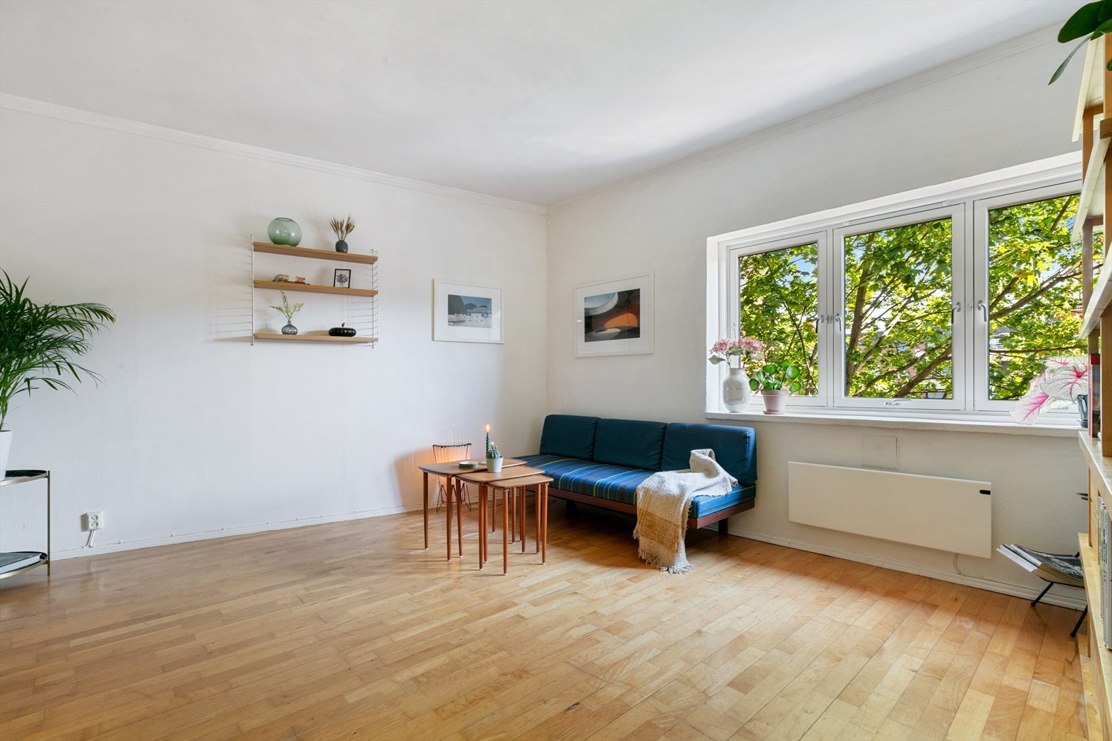 Store vinduer som slipper inn med rikelig naturlig lys. Galleribilde