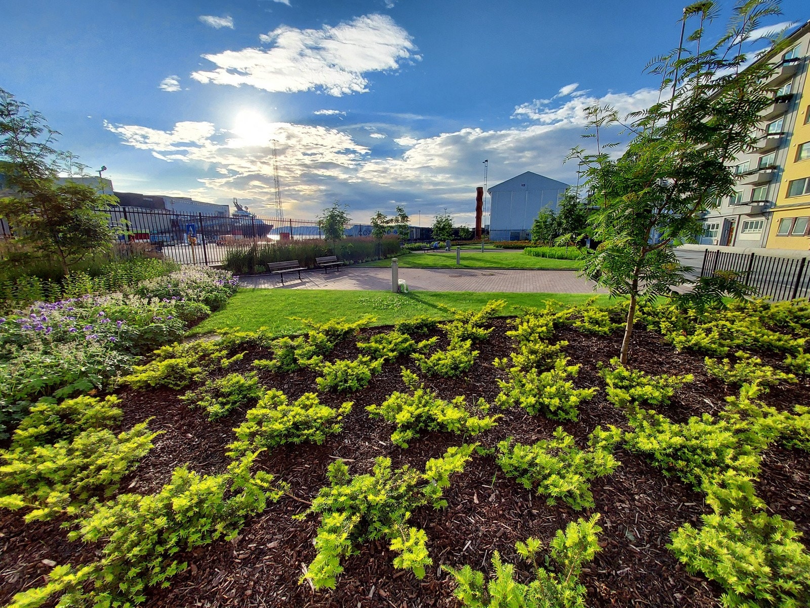 Felles hageområde utenfor Torborg Nedreaas 18 Galleribilde