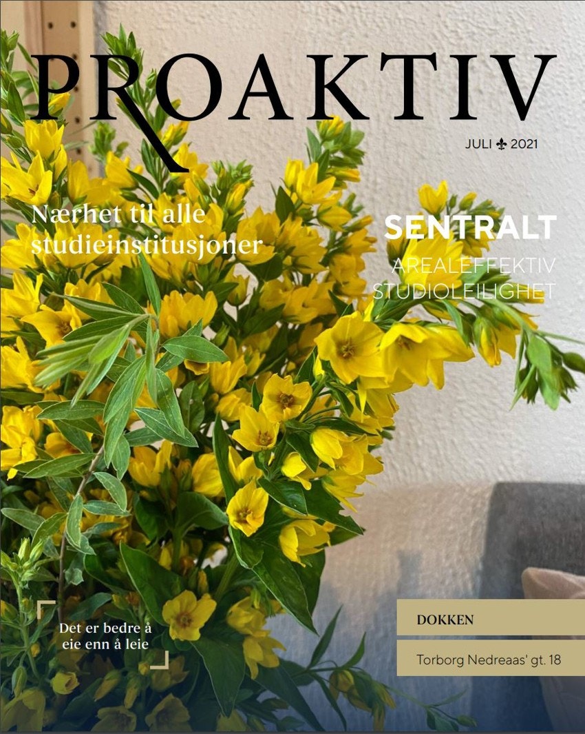 Husk å laste ned salgsoppgaven slik at du stiller godt forberedt til visning. Galleribilde