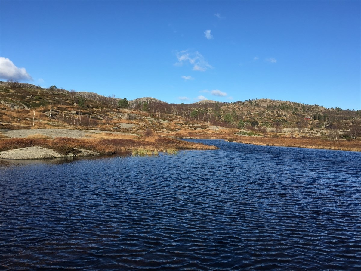 Flott turområde fra Skreli Galleribilde