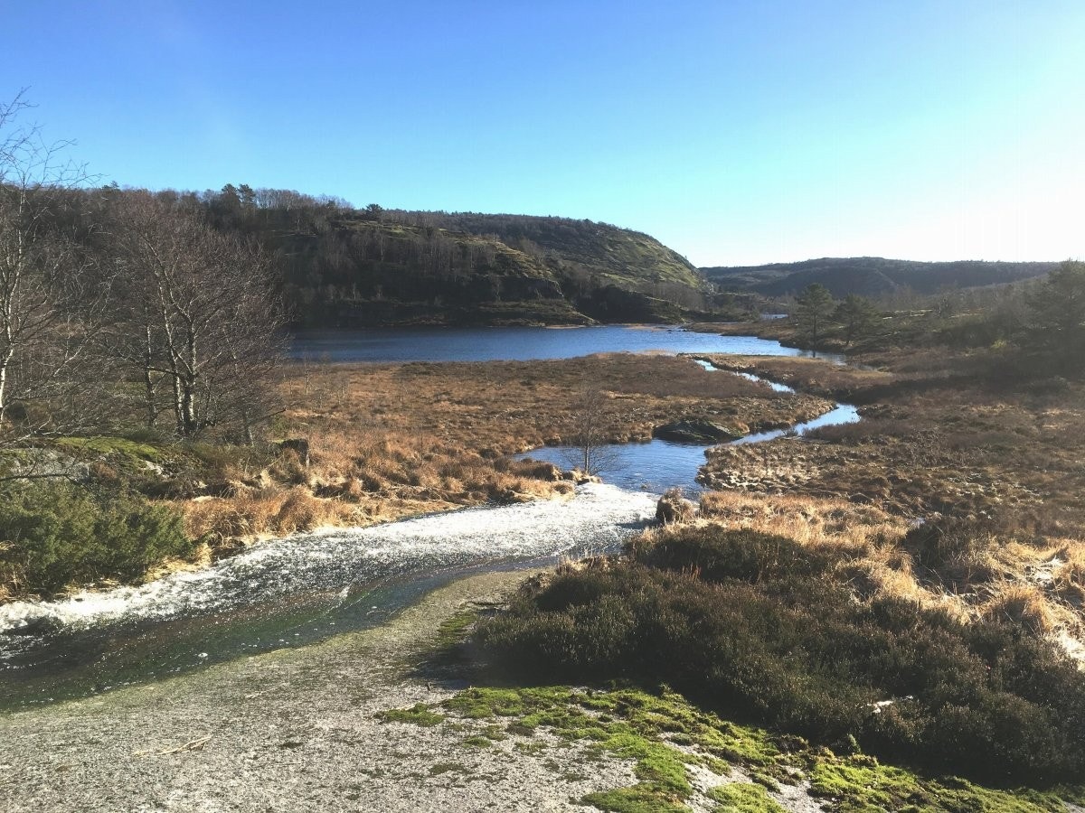 Flott turområde i nærheten - fra Skreli Galleribilde