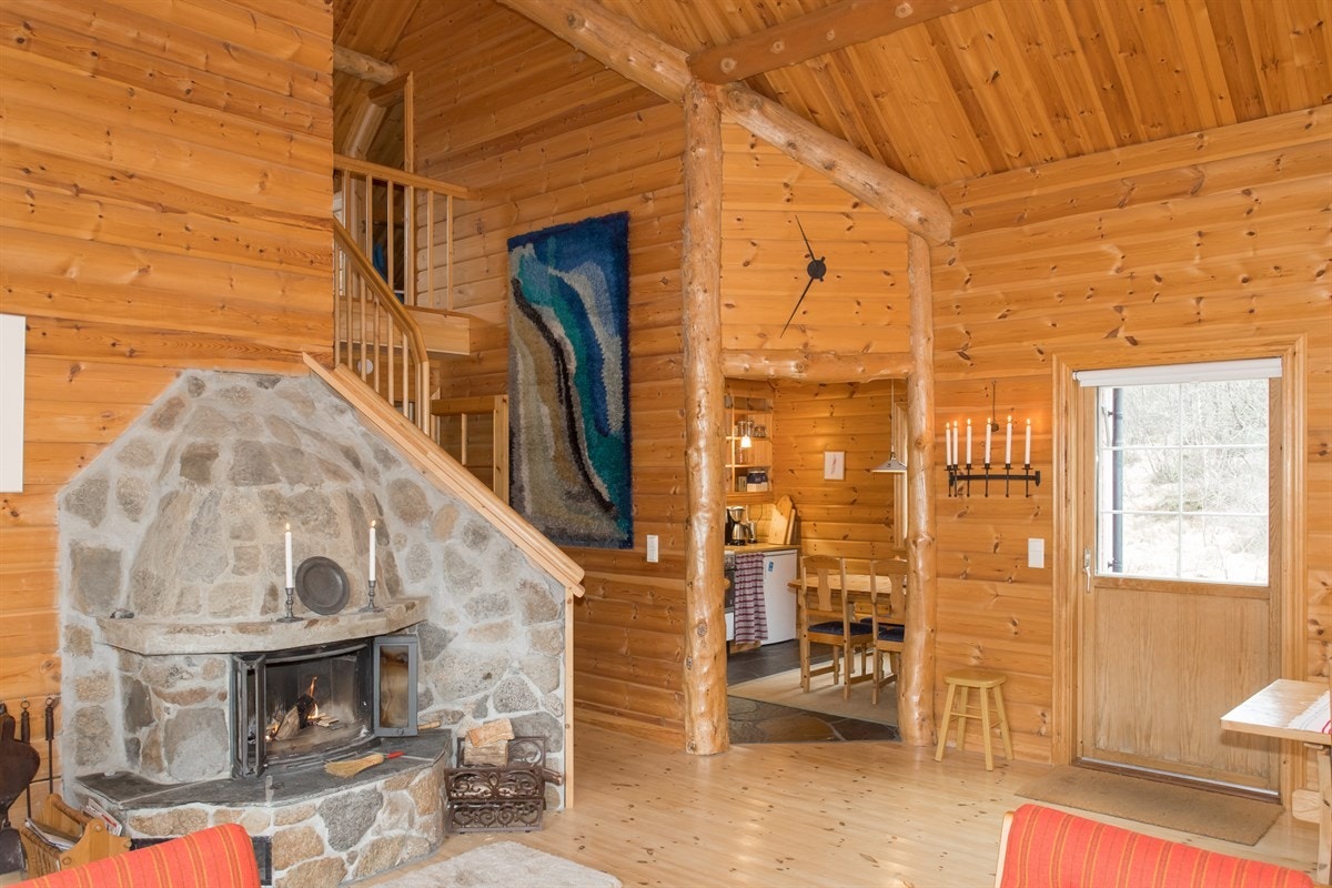 Stua med peisinnsats Galleribilde