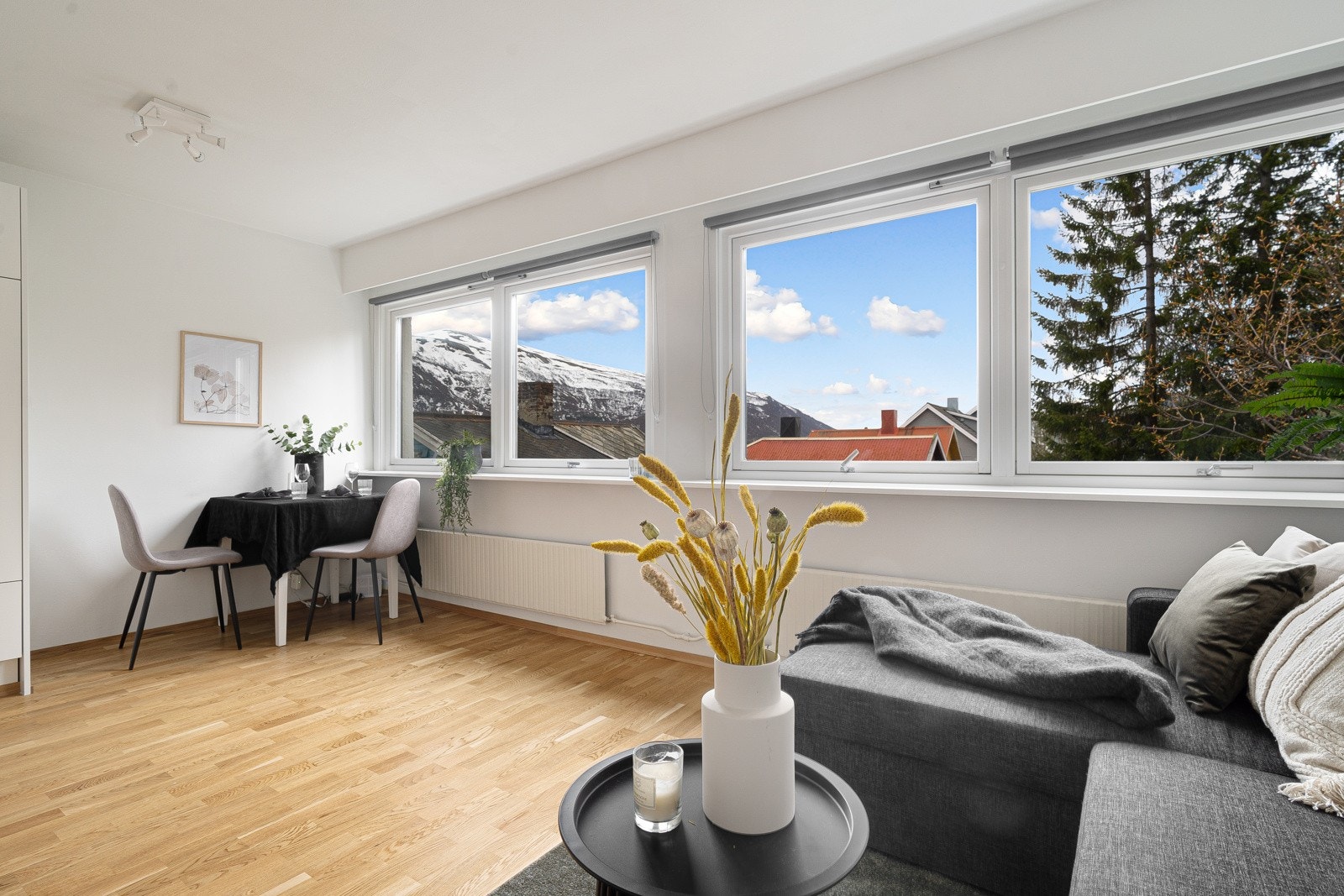 De store vindusflatene slipper inn rikelig med dagslys og du har fin utsikt mot sørøst Galleribilde