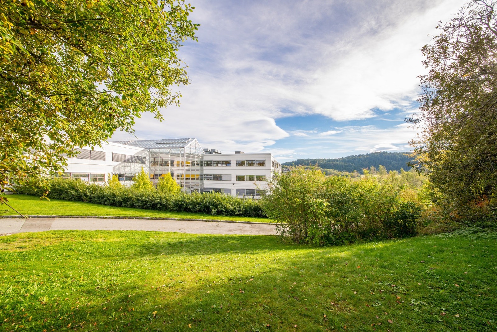 I nærområdet ligger NTNU Dragvoll, og i sykkelavstand finnes studiesteder som Handelshøgskolen og NTNU Gløshaugen. Galleribilde