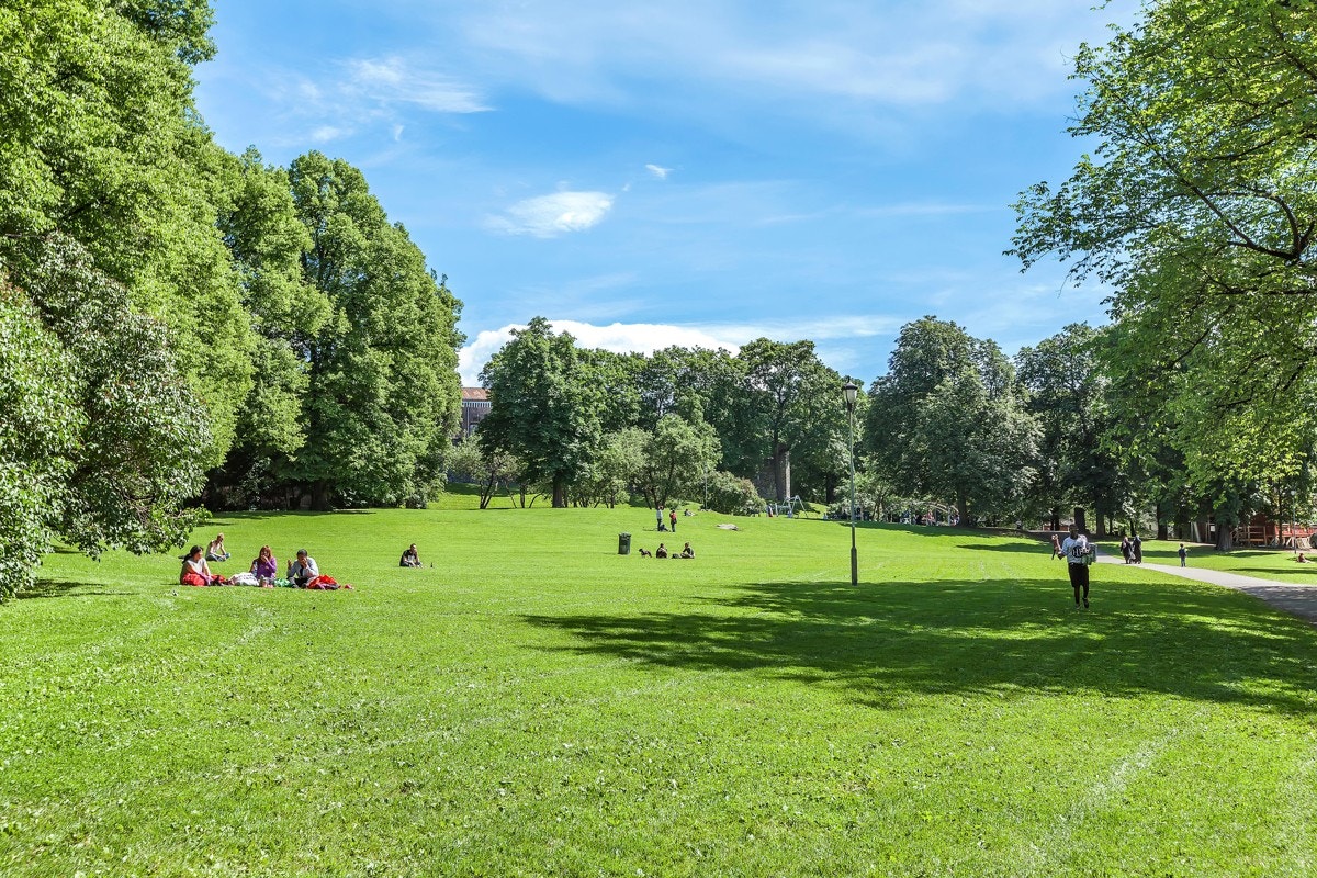 Mange parker og grønne lunger i nærområdet. Galleribilde