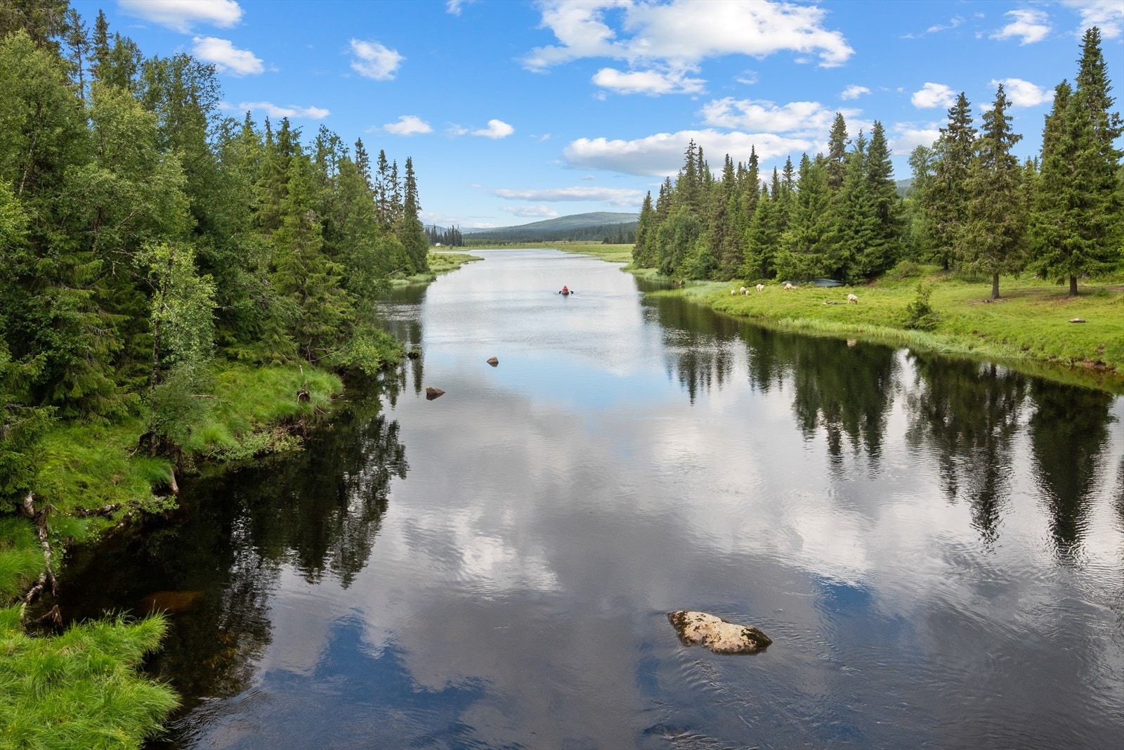 Åsta renner like ved og kan by på fint fiske eller flotte kanoturer. Galleribilde