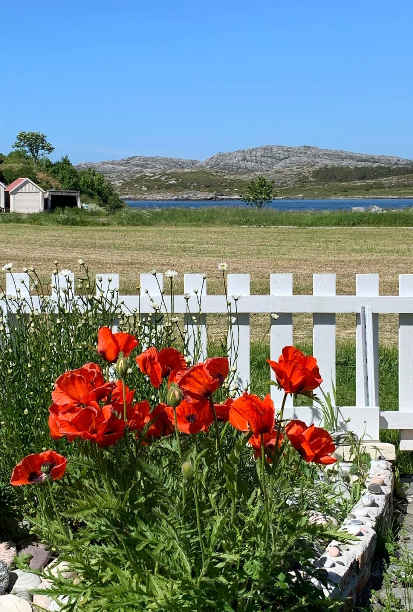 Kristines hage like ved Galleribilde