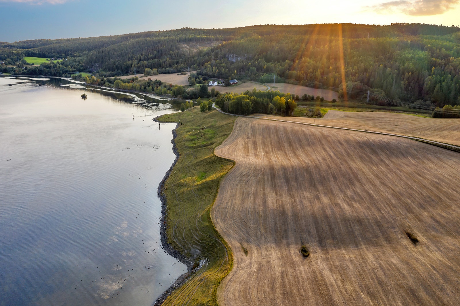 Området. Galleribilde