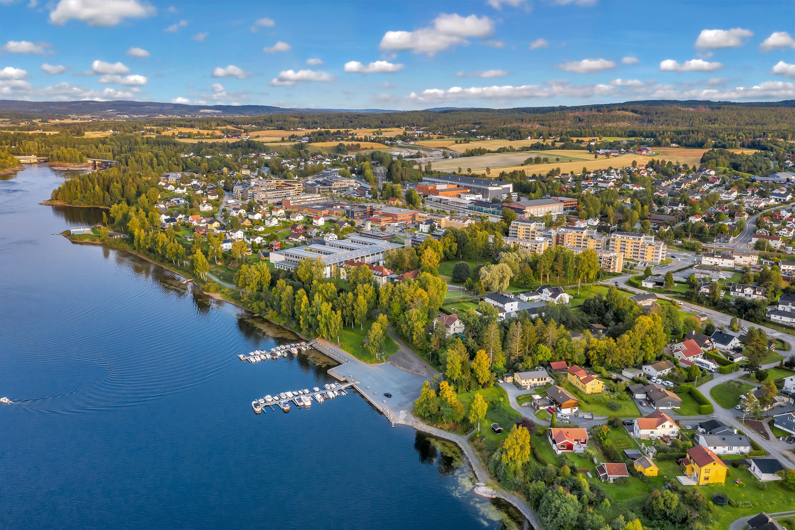 Området. Galleribilde