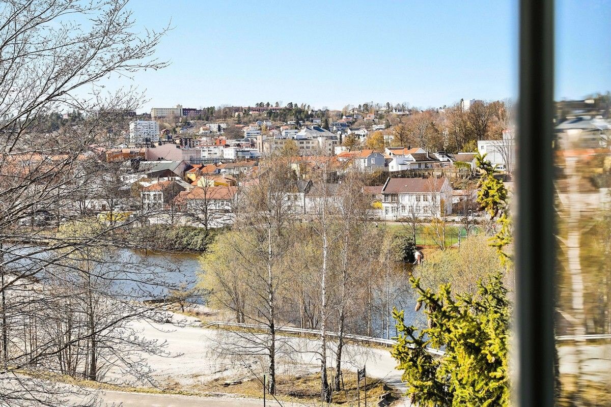 Utsikten mot elva, bebyggelse og Halden videregående skole. Galleribilde