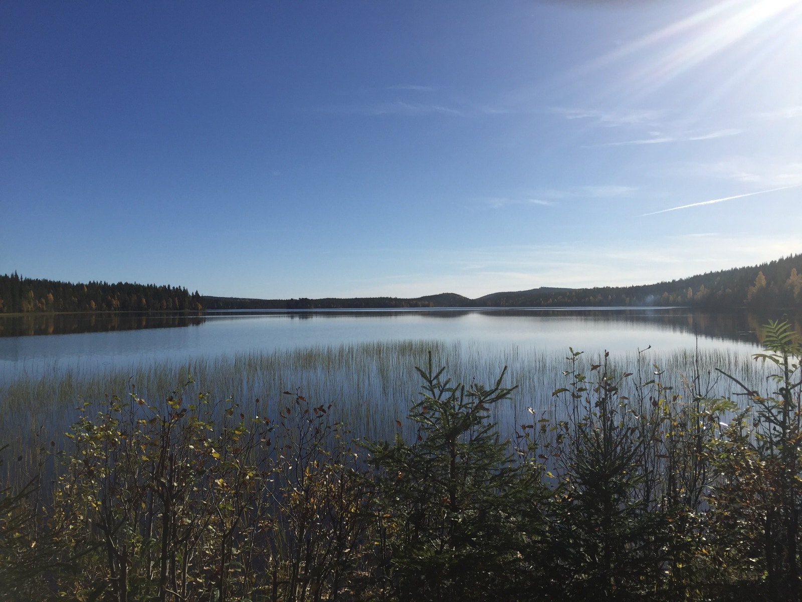 Landsjø Galleribilde