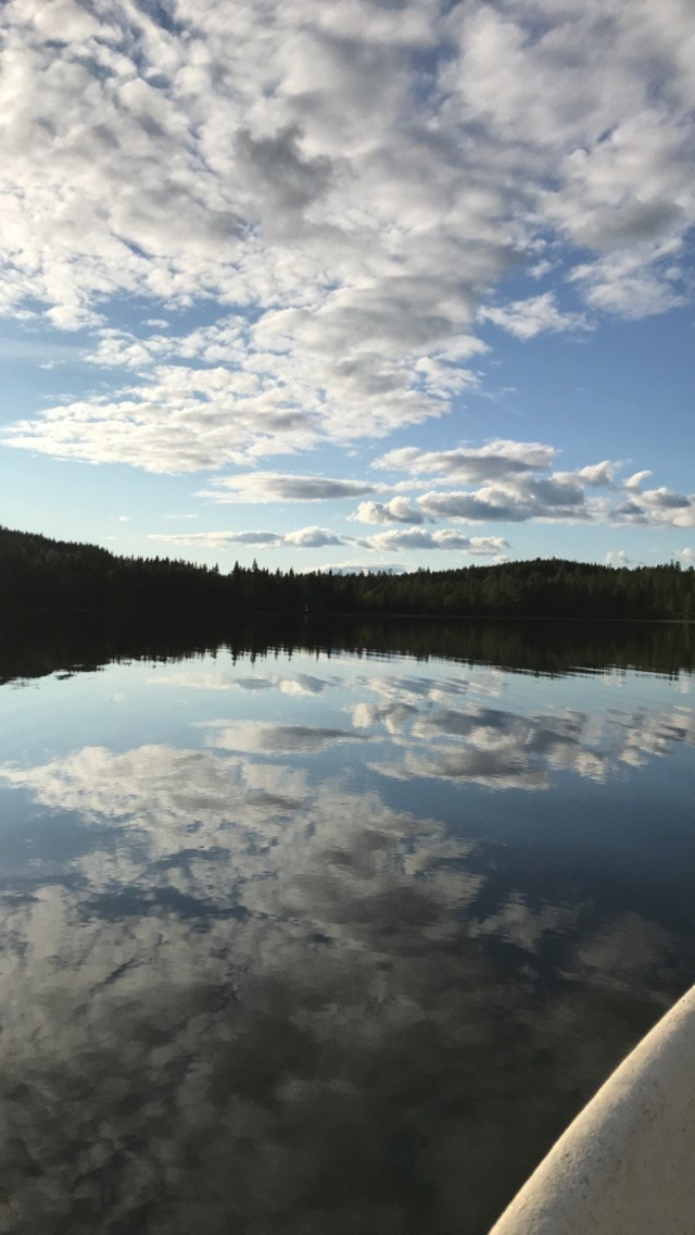 Landsjø Galleribilde