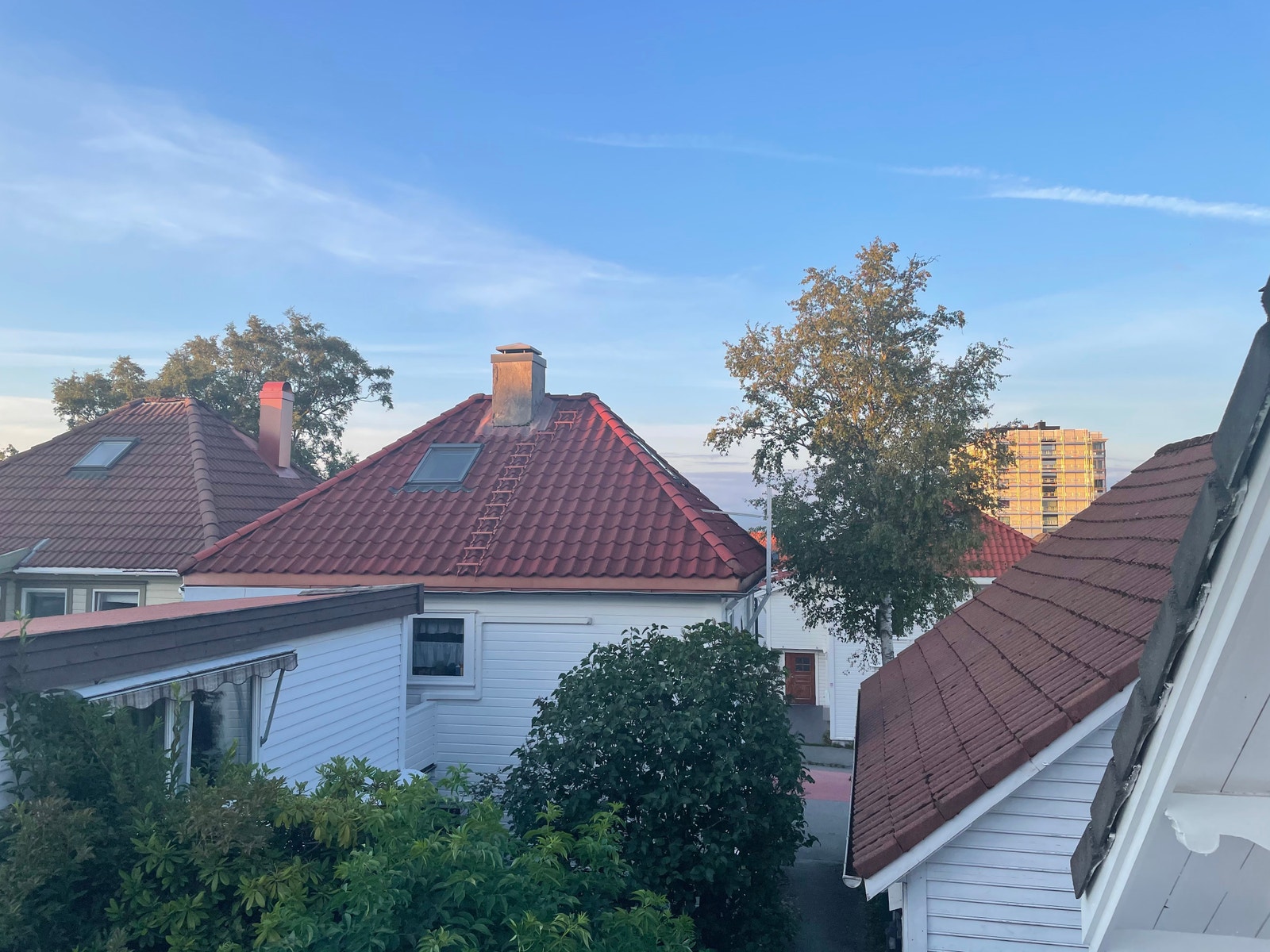 Utsikt Galleribilde