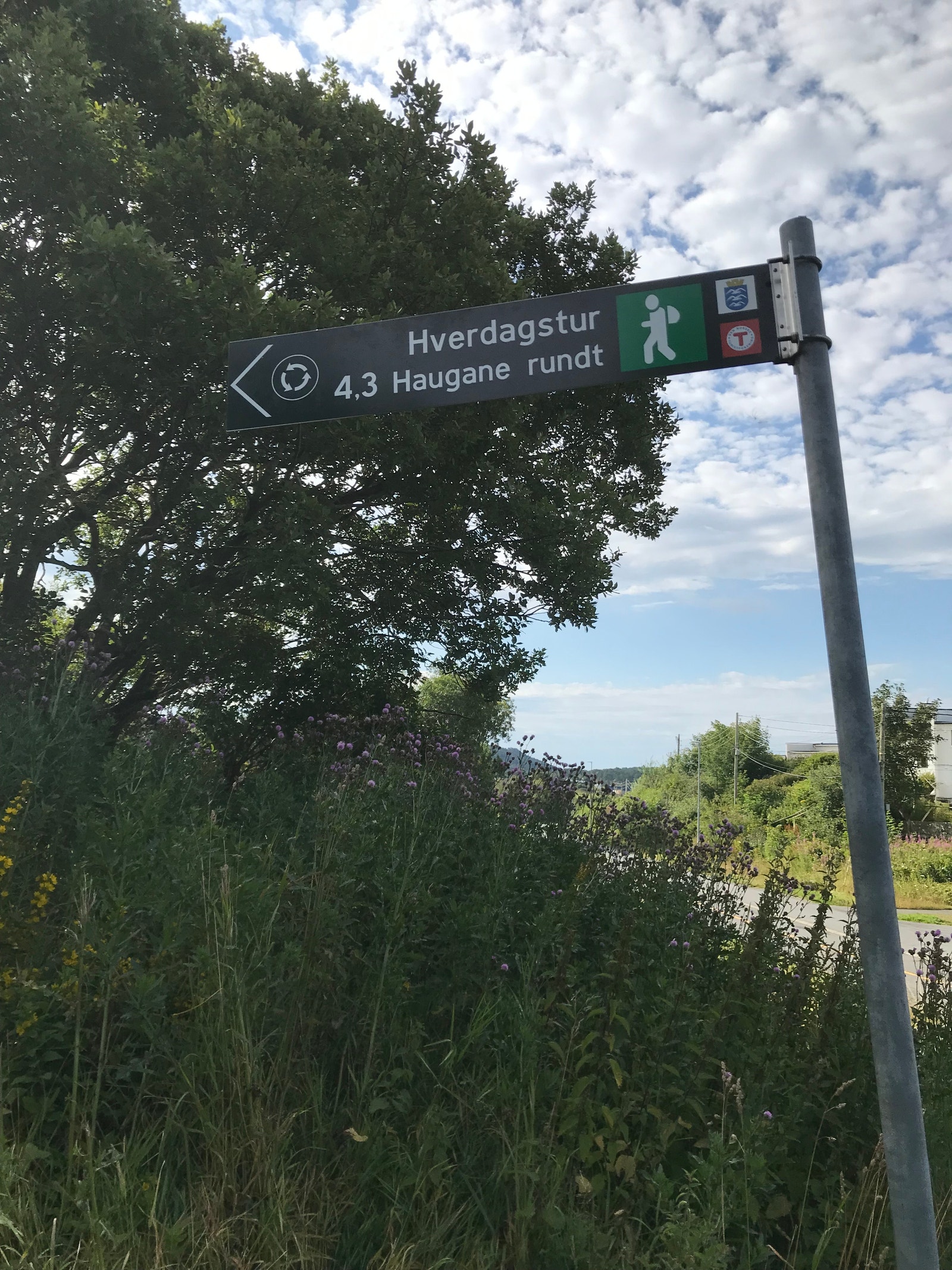 Fritids aktivitet i nærheten Galleribilde