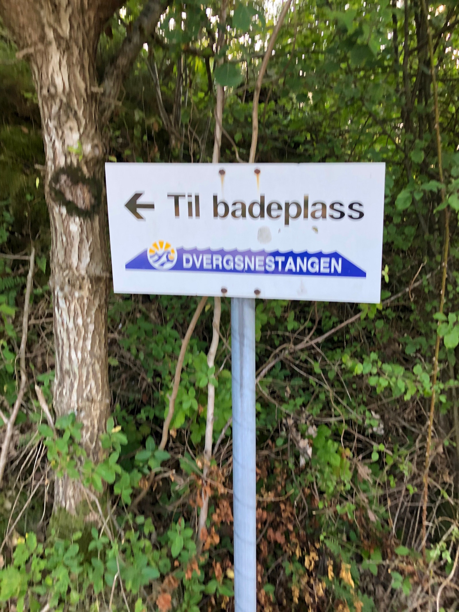 Badeplasser i umiddelbar nærhet. Galleribilde