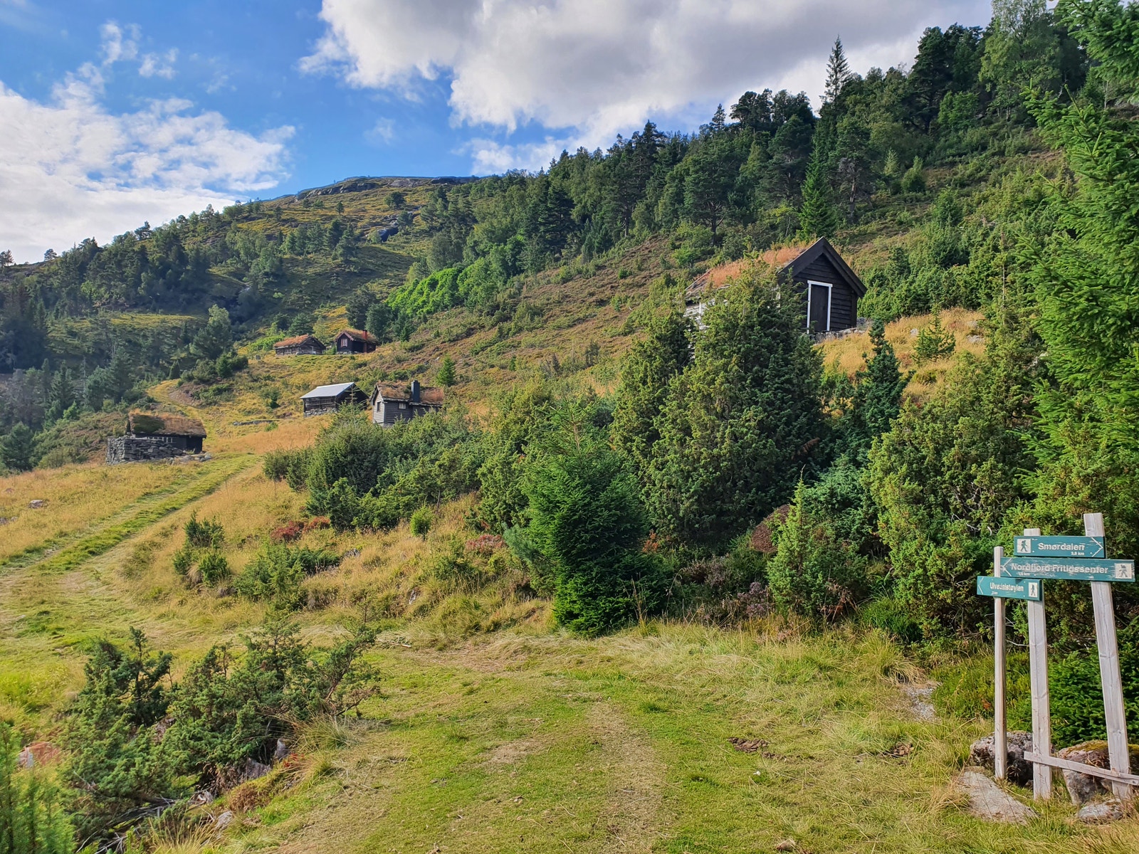 Rosetstøylen Galleribilde