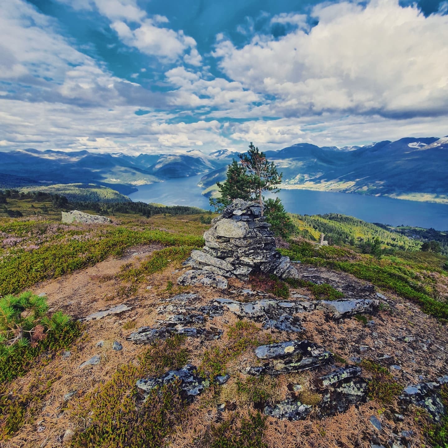 turterreng Galleribilde