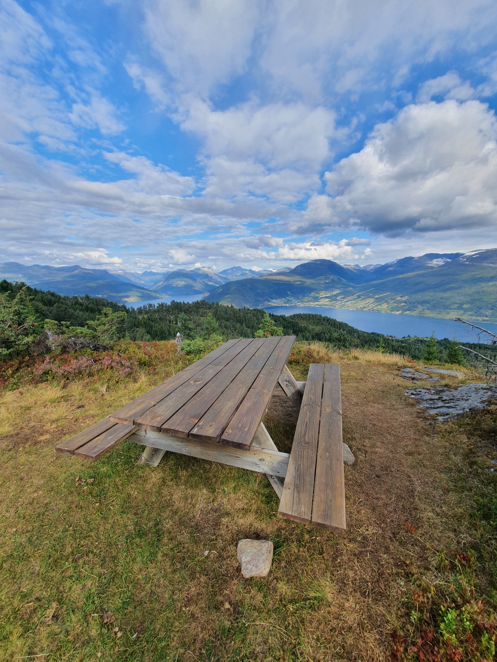 Rosetstøylen Galleribilde