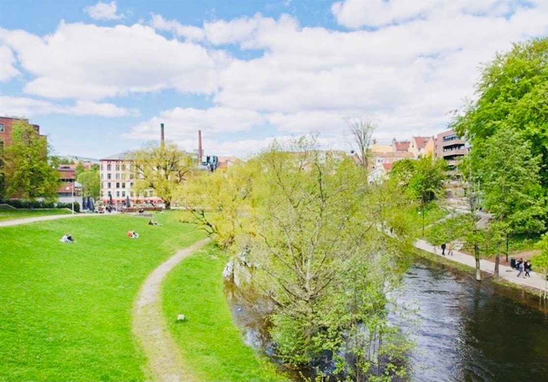 Nærmiljø Galleribilde