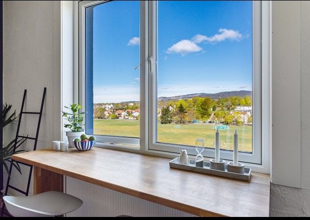 Utsikten fra leiligheten Galleribilde