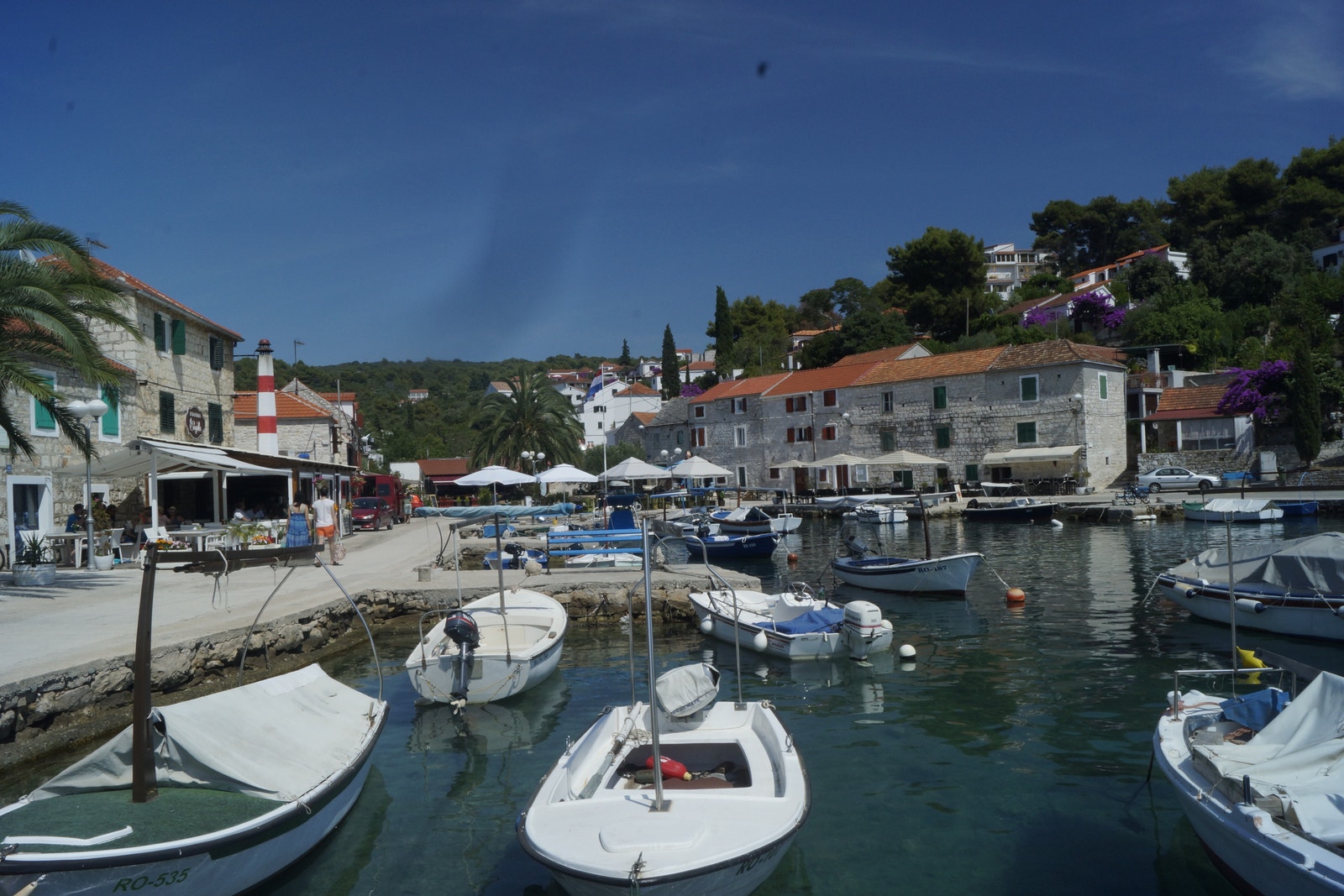 Maslinica på Solta Galleribilde