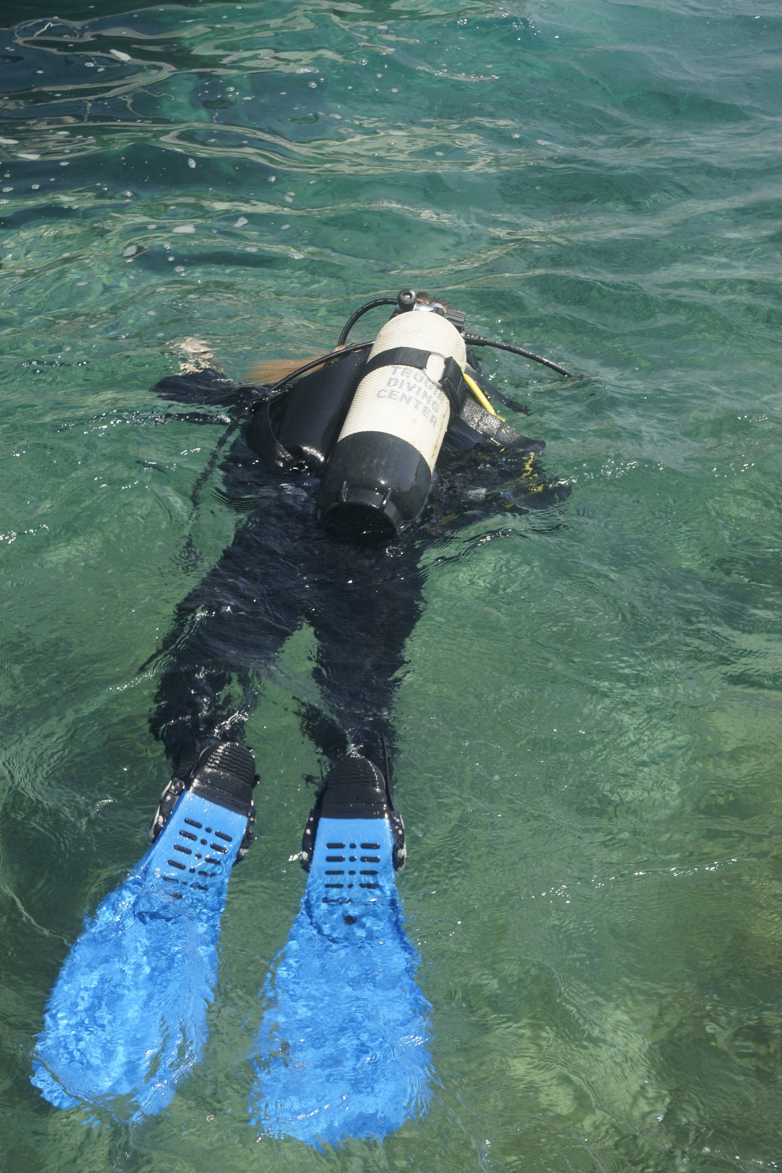 Dykking Galleribilde