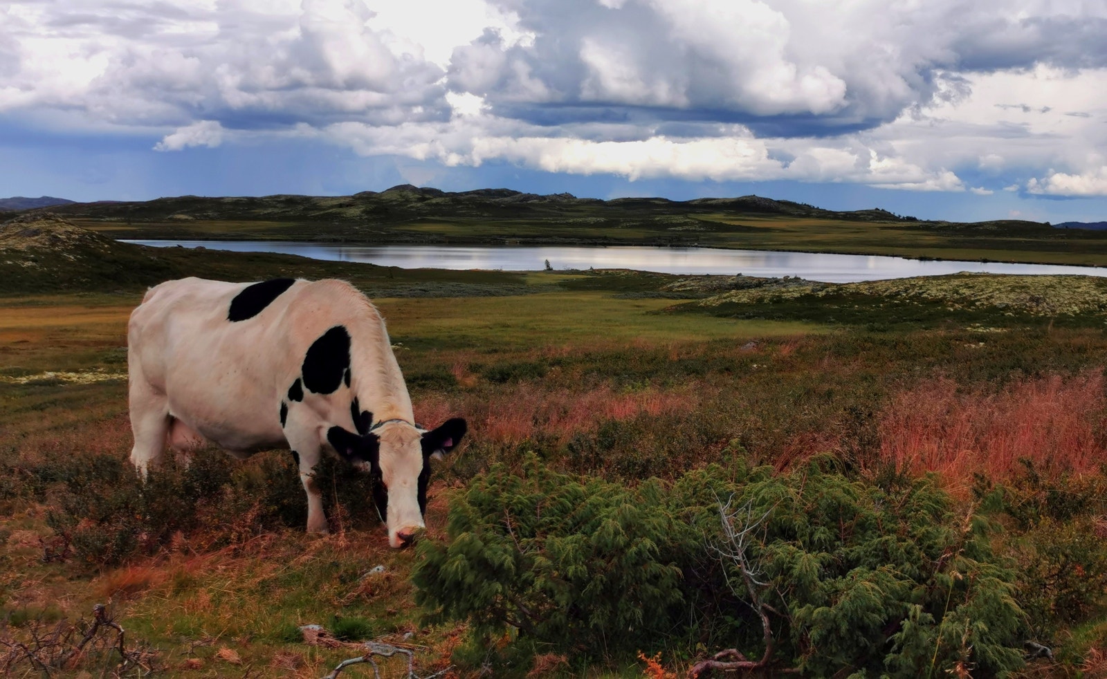 Hengsvatnet, med Leveldåsen like bakom. Galleribilde