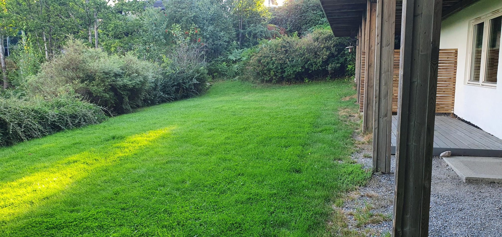 Stor plen forran leiligheten. Galleribilde