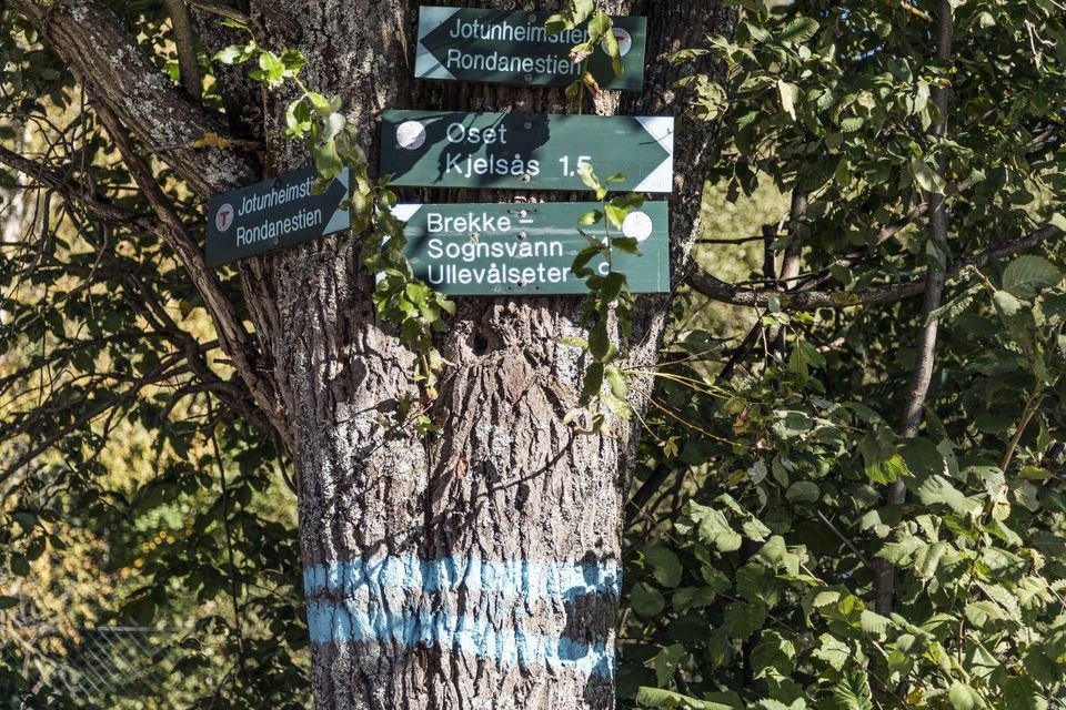 Turområder i umiddelbar nærhet Galleribilde