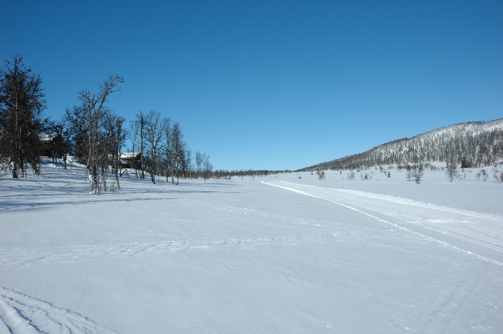 Utsikt mot nord fra tomter i Bjønnskarhaugen Øst. Galleribilde