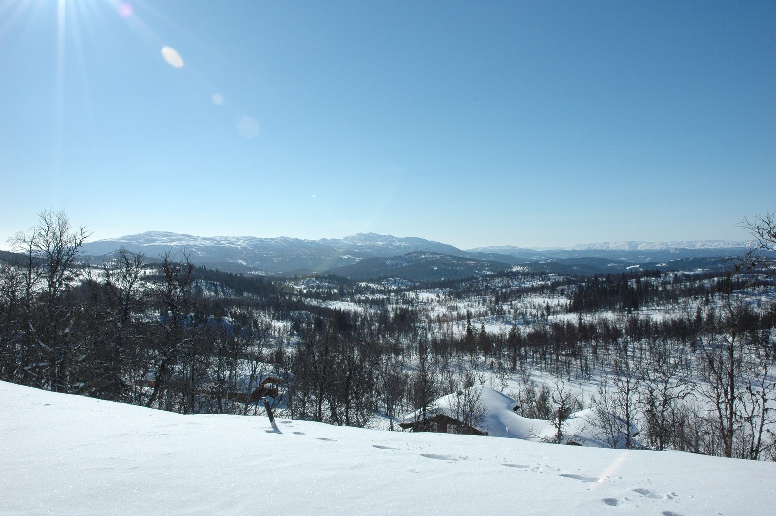 Panoramautsikt fra tomt 1, 32 og 38 i Bjønnskarhaugen Vest. Galleribilde