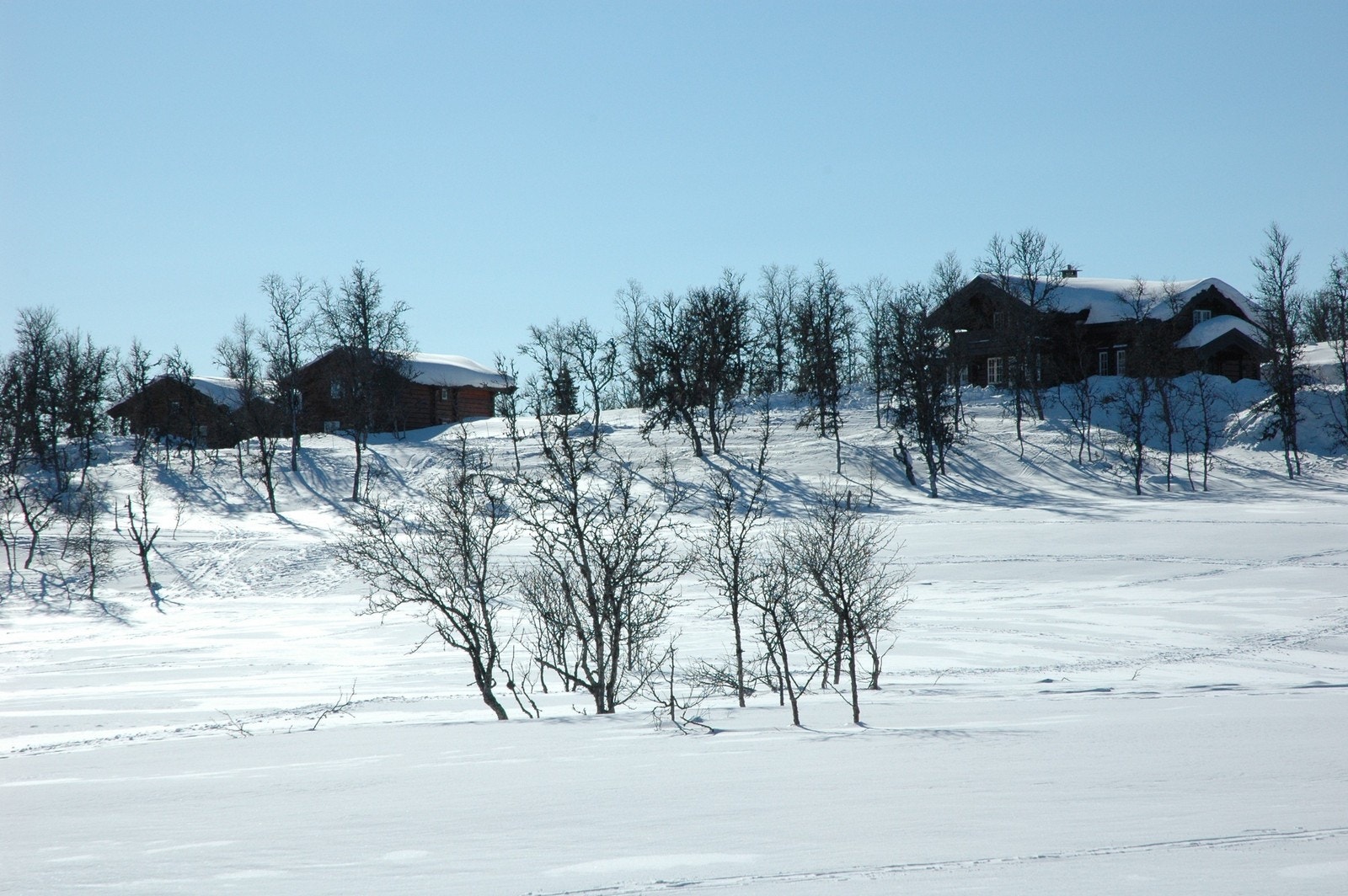 Bjønnskarhaugen Øst: Tomt nr. 11, 15 og 20. Galleribilde
