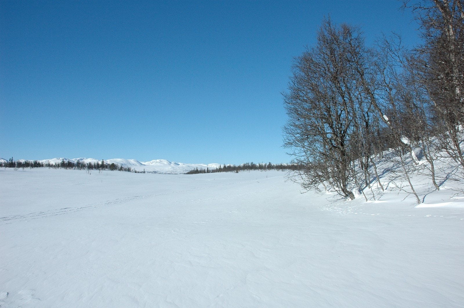 Utsikt mot nordvest fra tomter nederst i Bjønnskarhaugen Vest. Galleribilde