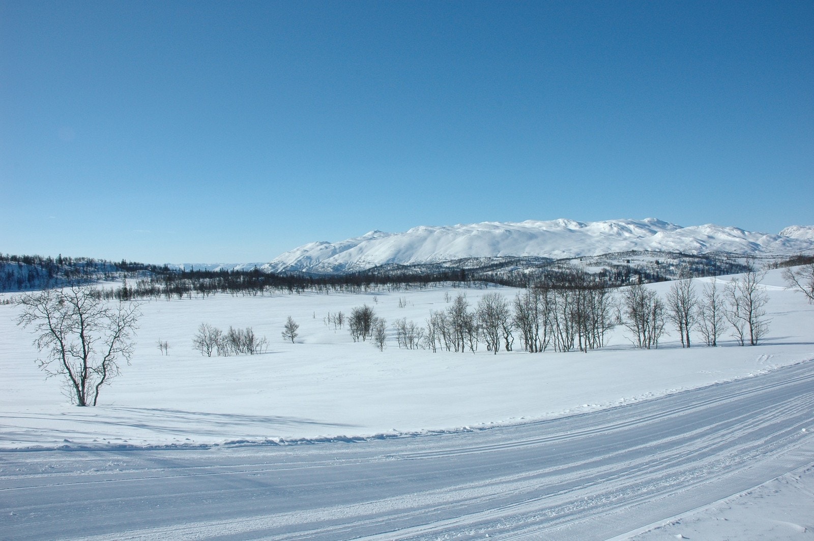 Tomtene ligger i et nydelig turområde med storslagne Raulandsfjell og fjellene rundt som ramme. Galleribilde