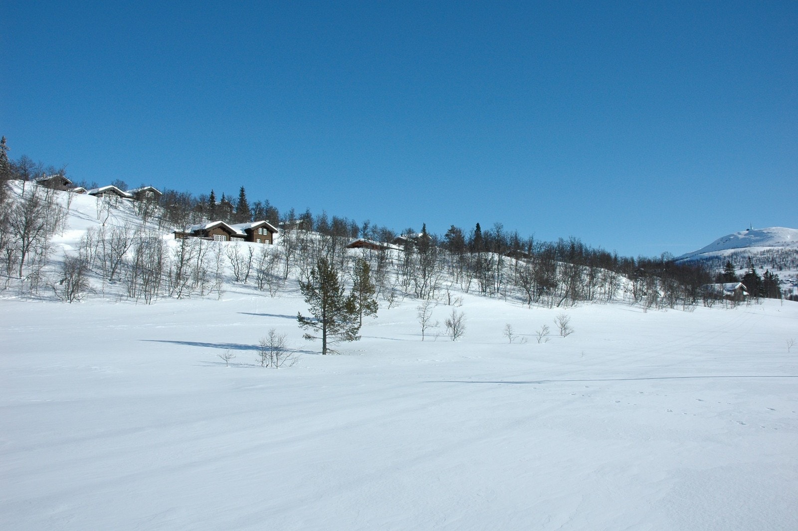 Bjønnskarhaugen Vest. Tomt 1, 32 og 38 øverst. Tomt 29, 39, 44 og 54 nederst. Galleribilde