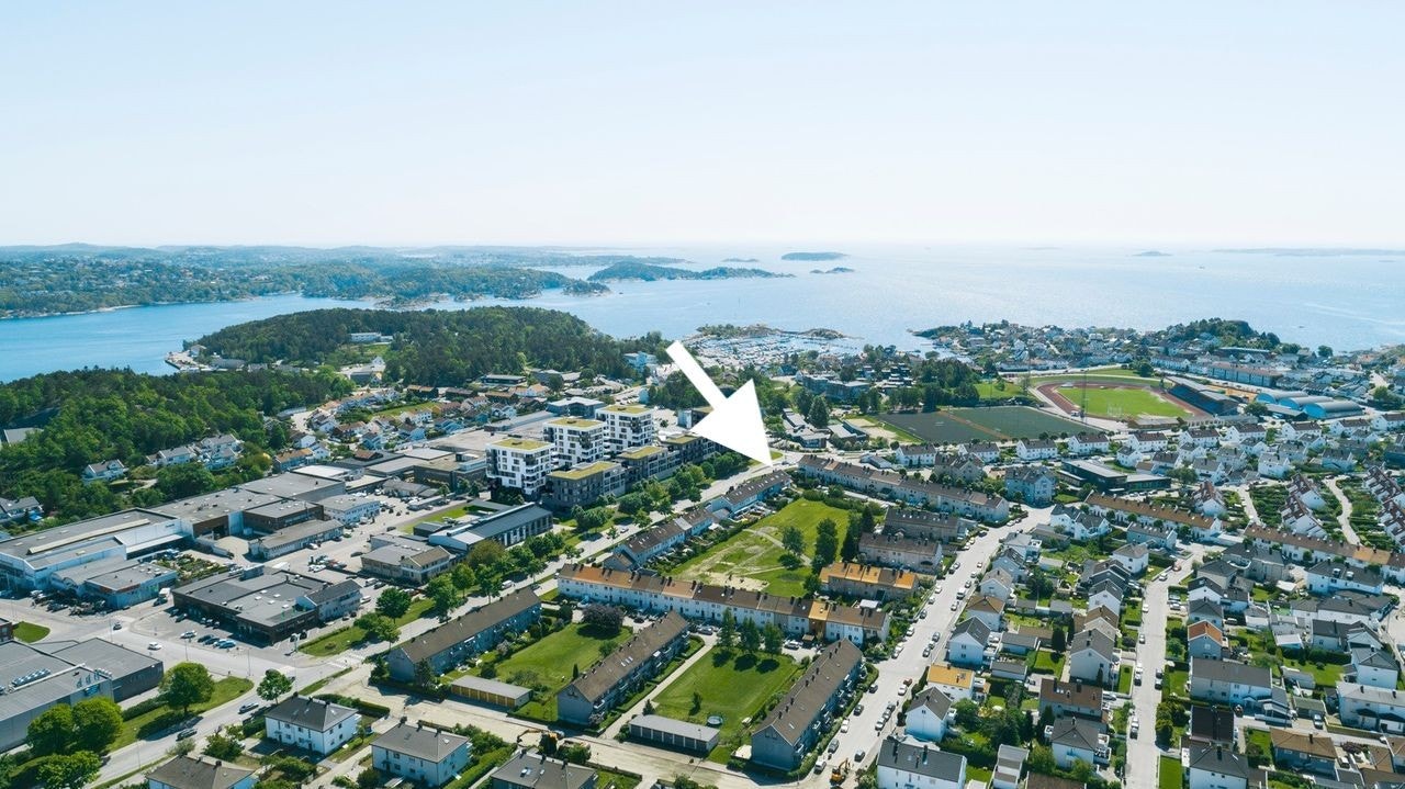 Hele fjorden som nærmeste "naturnabo" Galleribilde