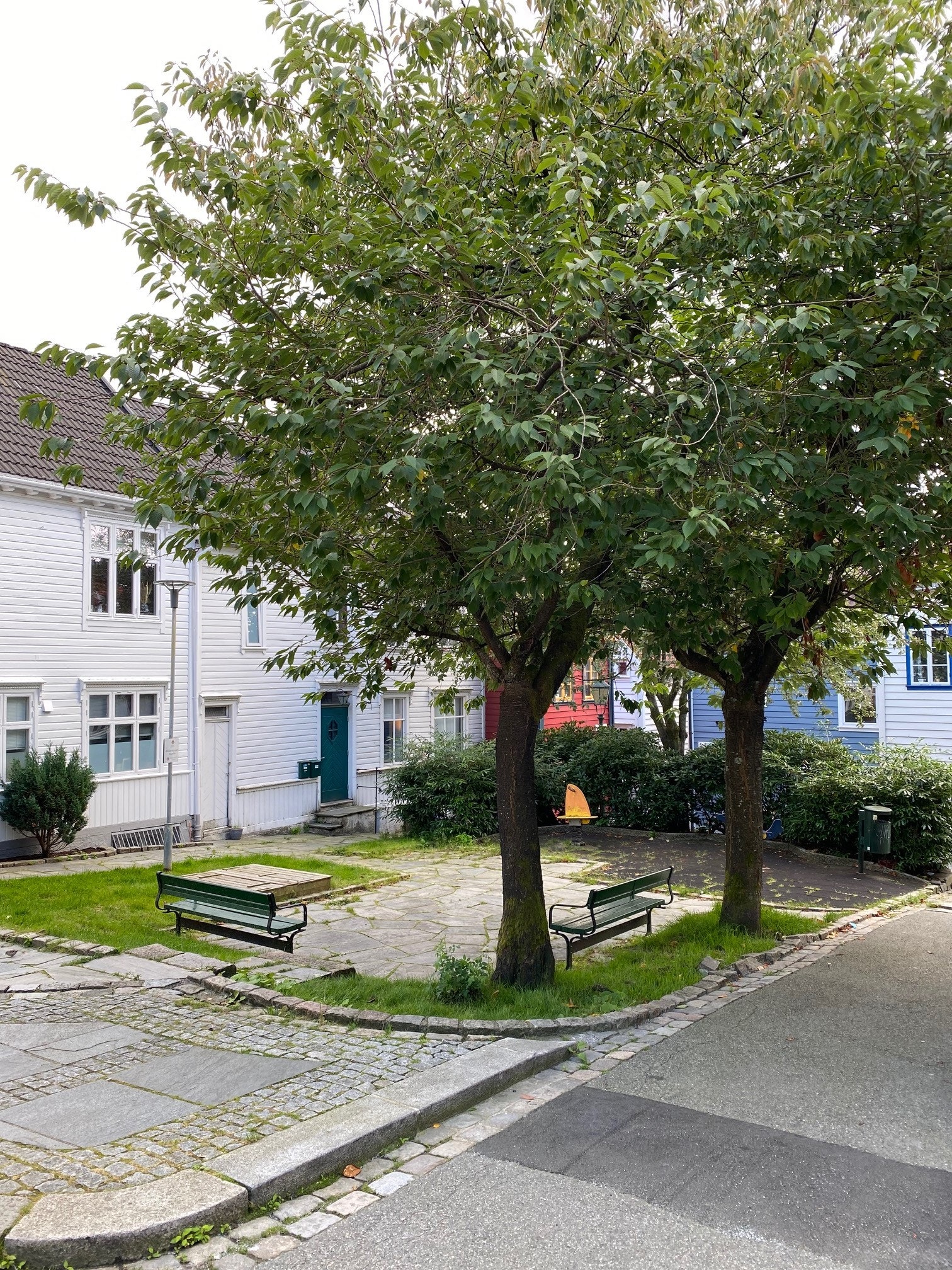 Koselig liten park rett utenfor leiligheten Galleribilde