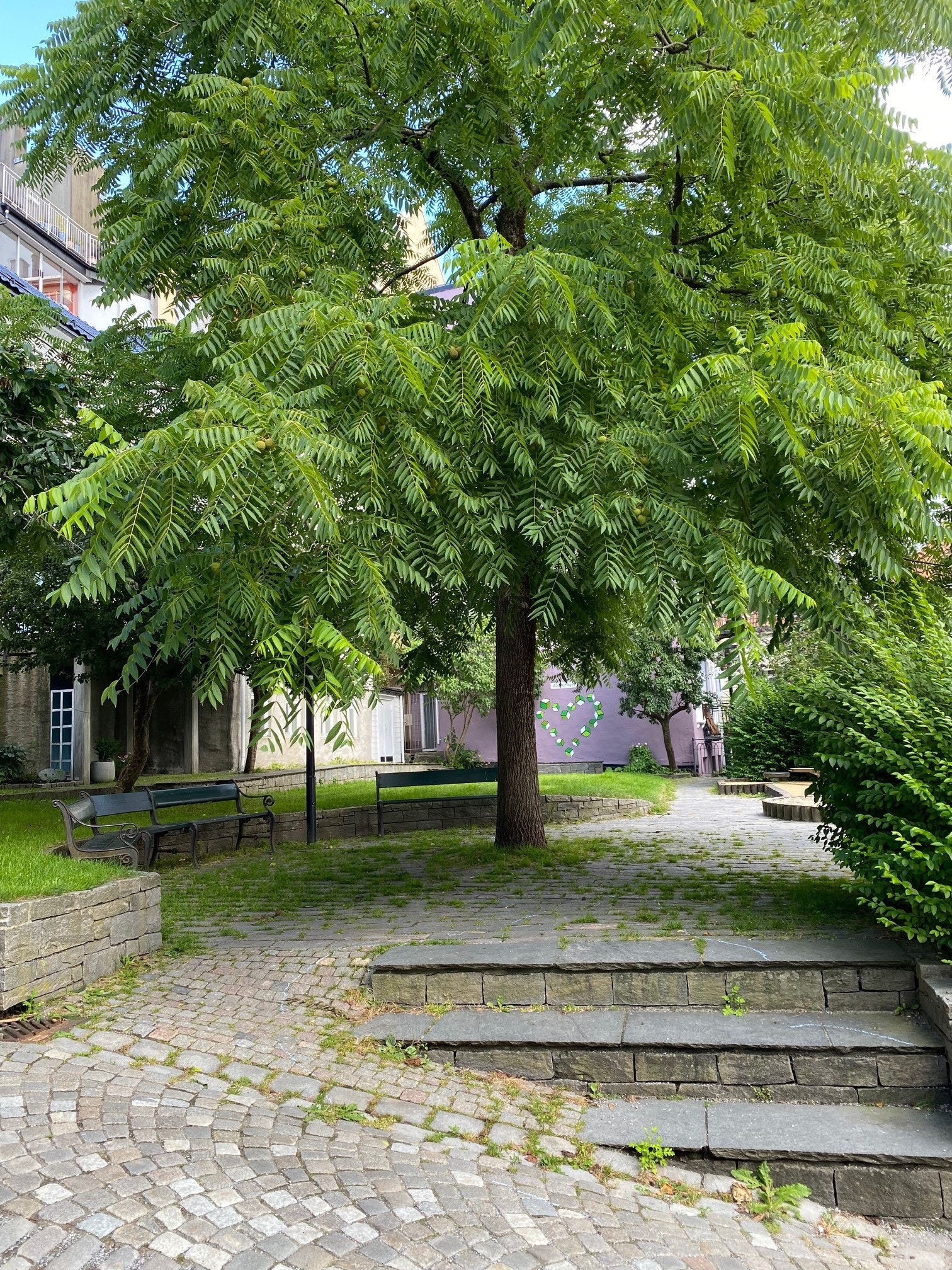 Apotekergården Galleribilde