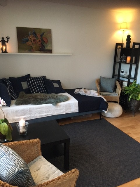 Lyst og hyggelig rom med sovesofa med god madrass, kurvstoler og lun atmosfære. Galleribilde