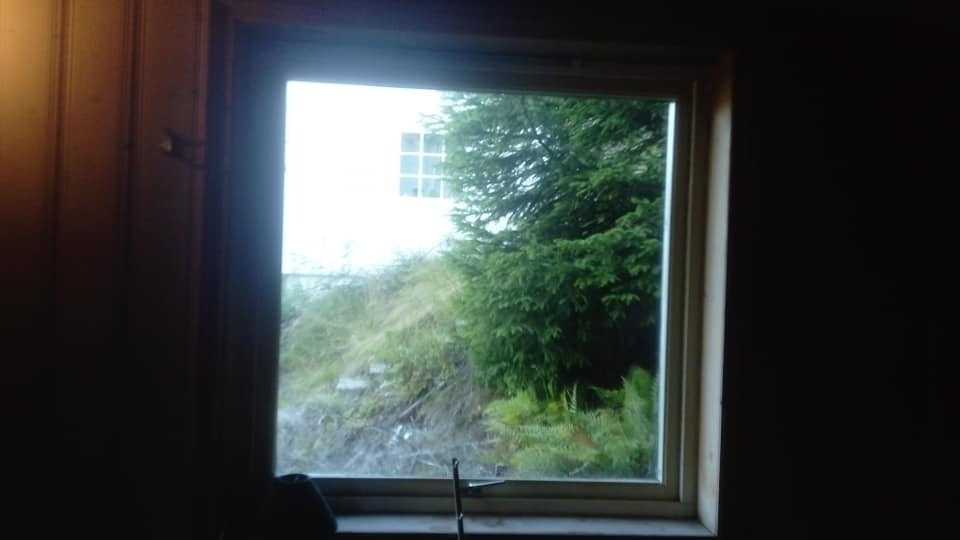 litt hage og nabo hus Galleribilde