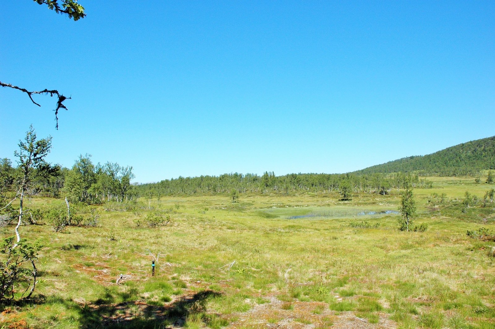 Panoramautsikt fra tomt nr. 15 i østre del. Galleribilde