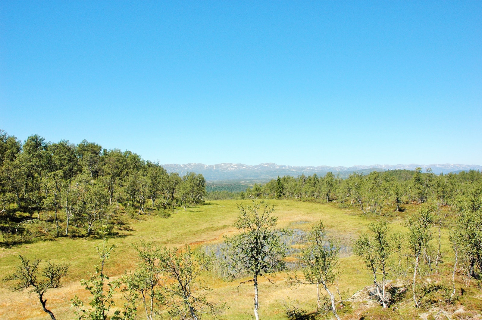 Panoramautsikt fra tomt nr. 15 i østre del. Galleribilde