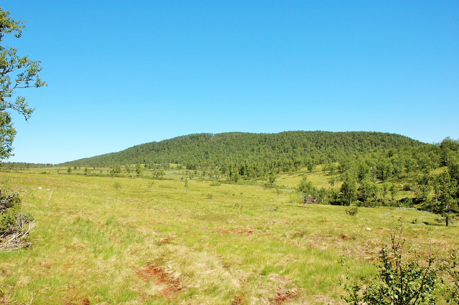Panoramautsikt fra tomt nr. 15 og 24 i østre del. Galleribilde