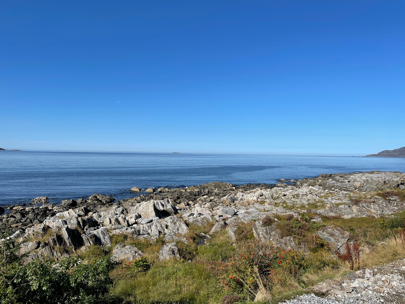 Utsikt fra tomtene mot havet Galleribilde