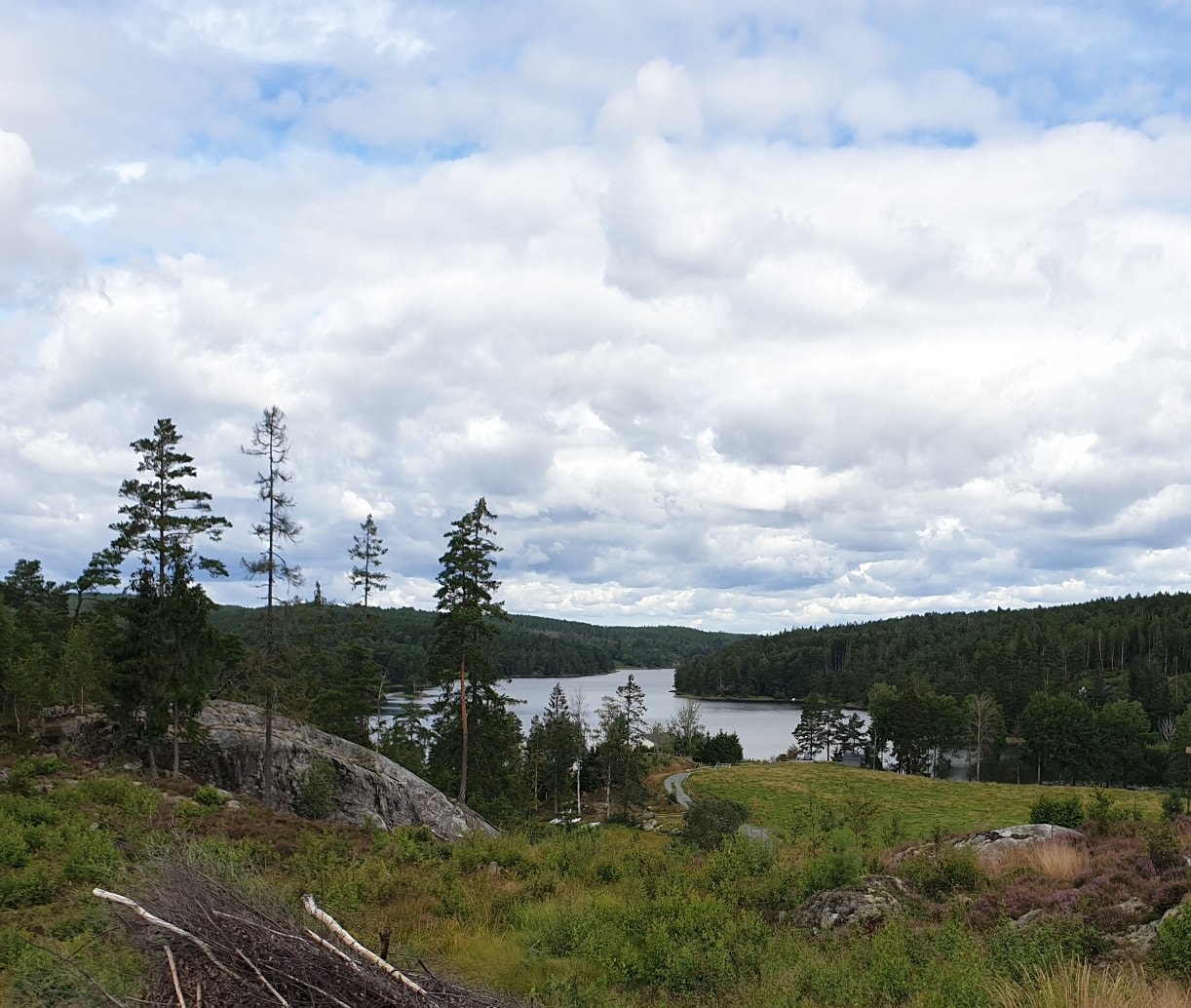 Utsikt fra tomten Galleribilde