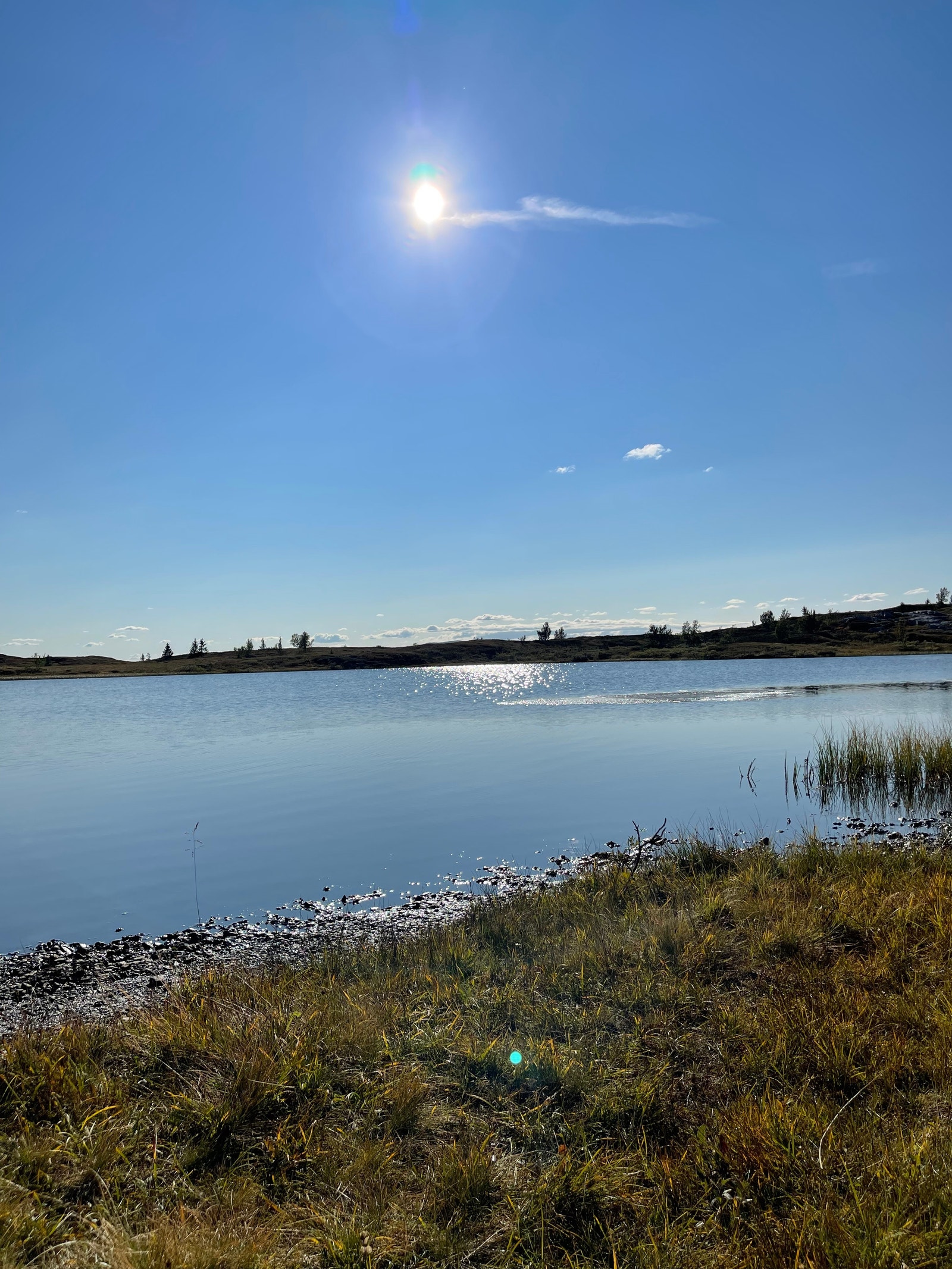 Storgrova nedenfor Fagerhøy Galleribilde