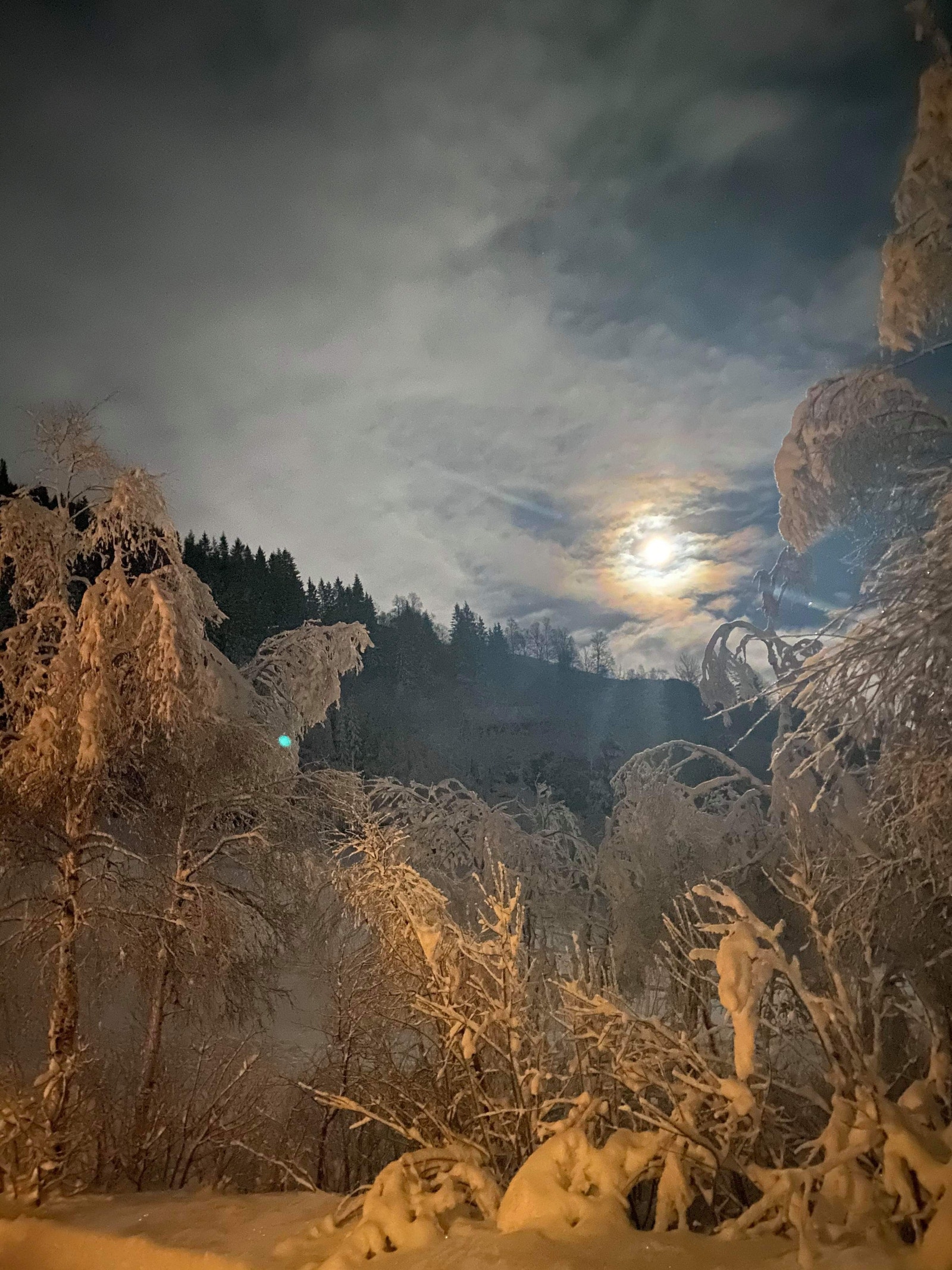 Vinterstemning Galleribilde