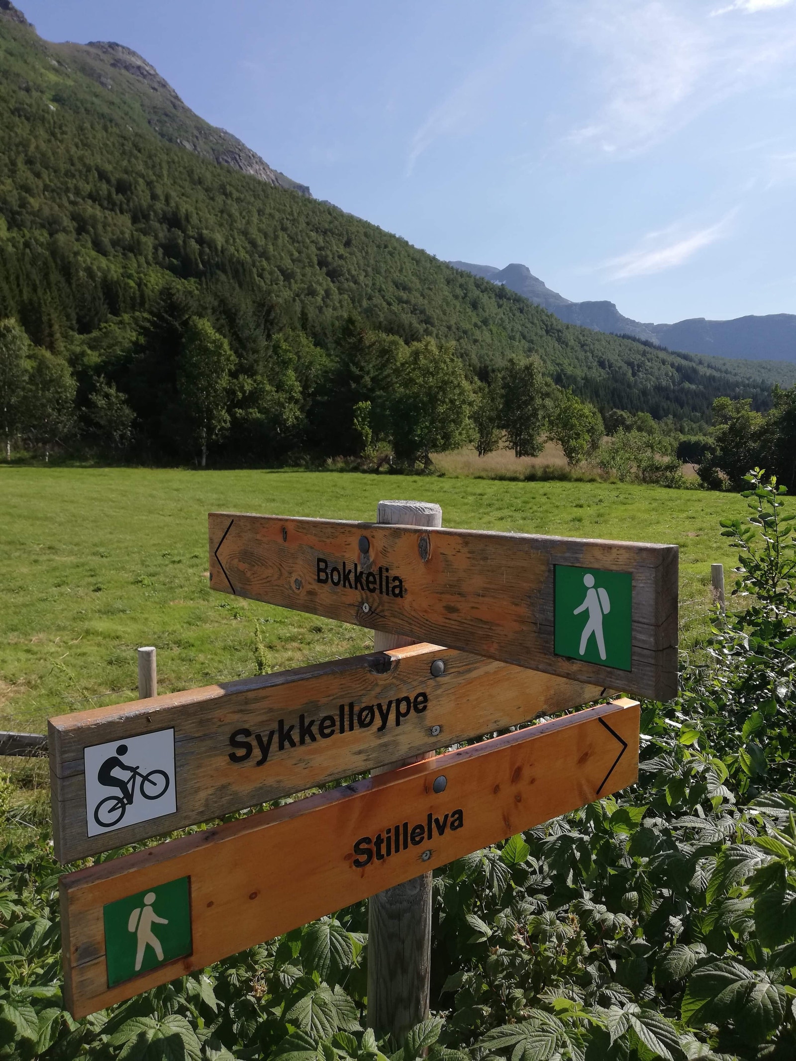 Turløyper. Galleribilde