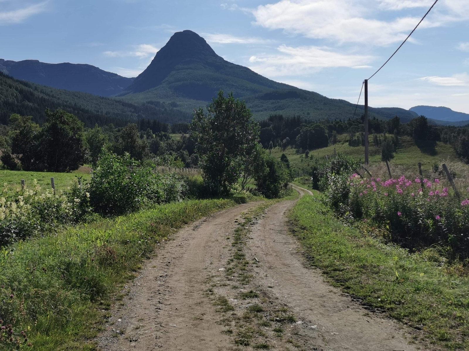 Innmarksvei med Stakken i Bakgrunnen. Populært turområde. Galleribilde